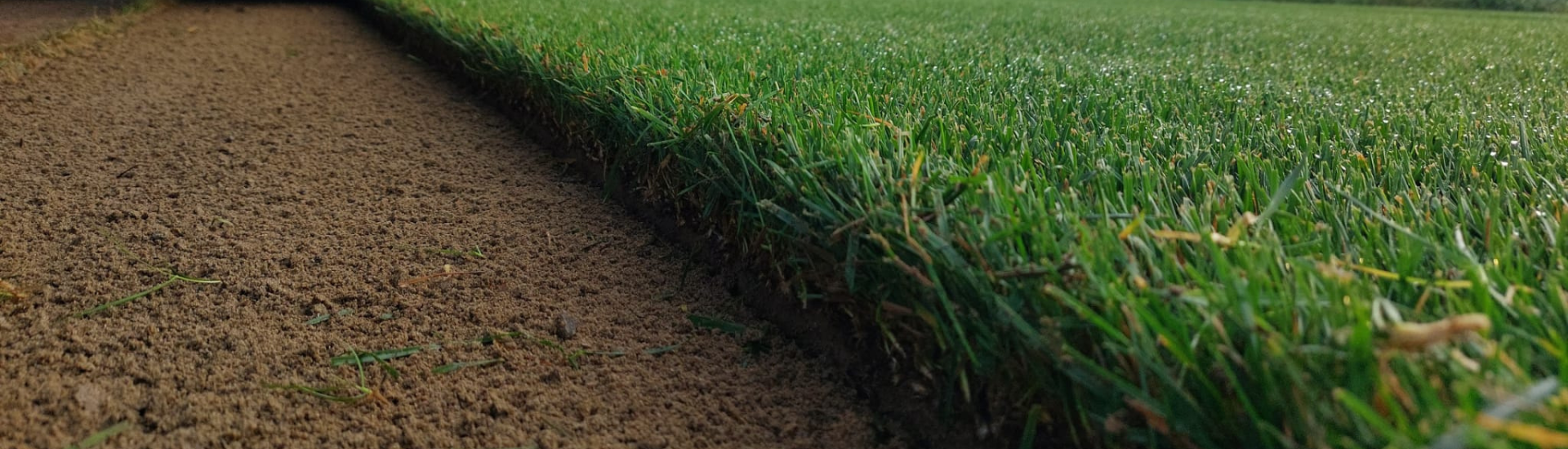 prodotti - Sementi e Fertilizzanti