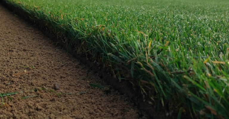 prodotti - Sementi e Fertilizzanti